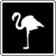 Pictogram Flamingo Watching (Observacion de Flamingos) from Ecuador