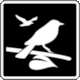Pictogram IS1-3: Land Bird Observation (Observaci�n de Aves Terrestres) from Ecuador