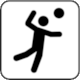 U.S. National Park Service Map Symbol: Recreation (Land) - Volleyball