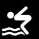 NZS 8603 Symbol No 30: Diving