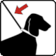Pictogram No Z-RA120: Walk Dog on Lead (Prowadź psa na smyczy) from alleBHP.pl