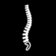 Orthopedics 
