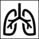 Icon No 1197713: Lungs, Pulmonology by Nicola Simpson (Iconfinder)