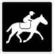 Pictogram SIT-34: Racecourse (Hipdromo) from Mexico City