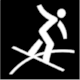 Olympic Winter Games 2018 in Pyeongchang, Pictogram Snowboard Slopestyle